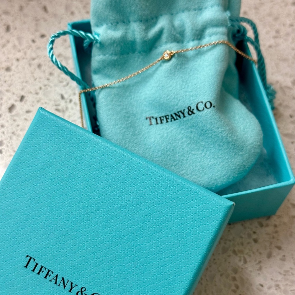 Tiffany & Co Gold Diamond Bracelet - .03 Carat, Elsa Peretti Diamond By the Yard
